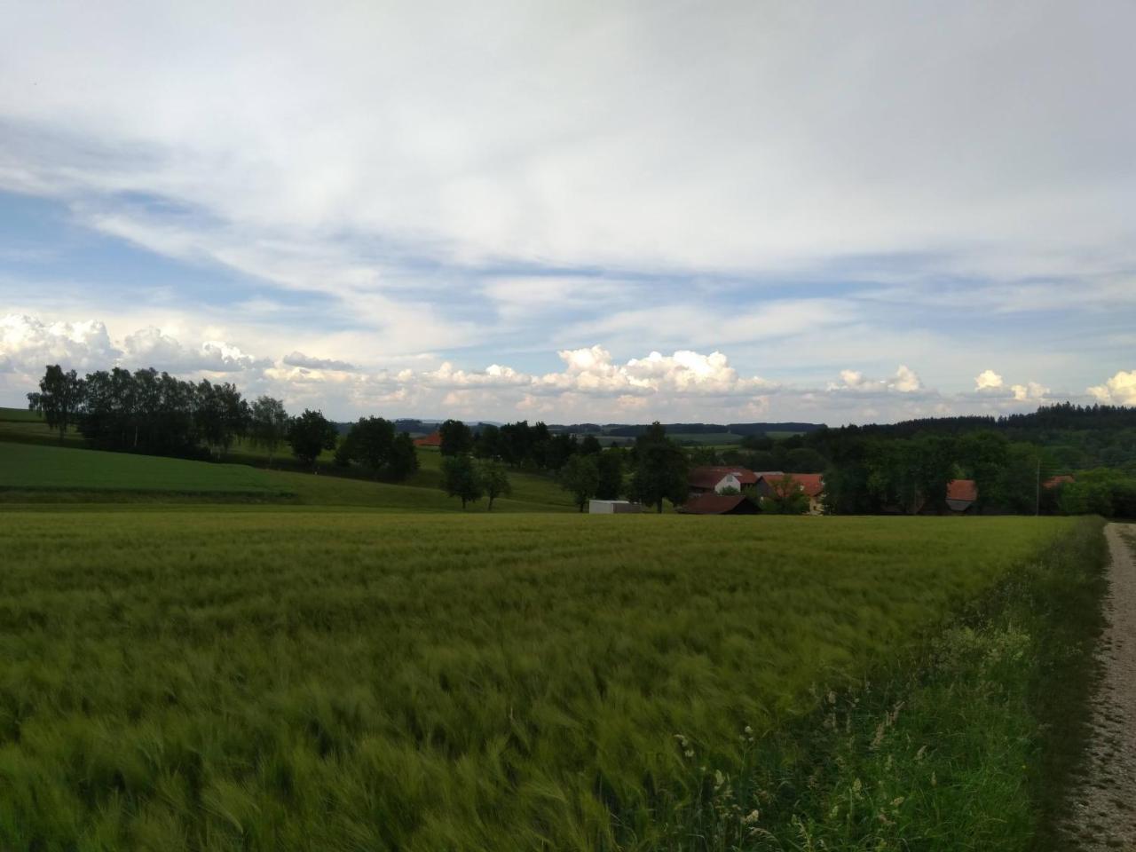 Tumeltsham Gasthaus Schachinger מראה חיצוני תמונה